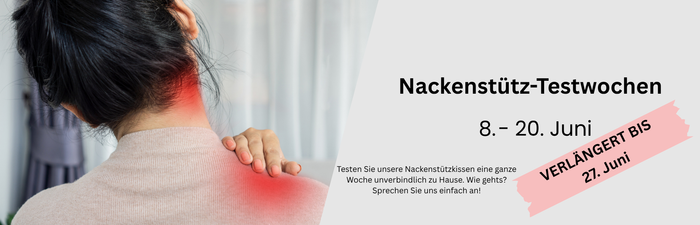 nsk_verlaengert.png