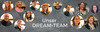 slider_team.png