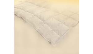 Premium Eiderdaunendecke
